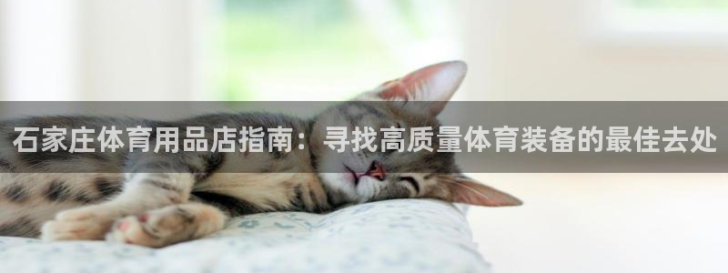 欧陆娱乐注册代理：石家庄体育用品店指南：寻找高质量体