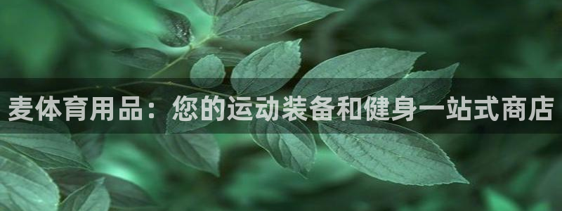 欧陆娱乐访问：麦体育用品：您的运动装备和健身一站式商