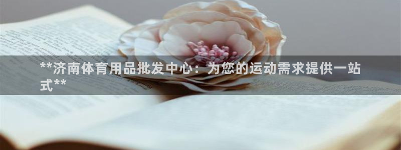 欧陆娱乐总代理：**济南体育用品批发中心：为您的运动
