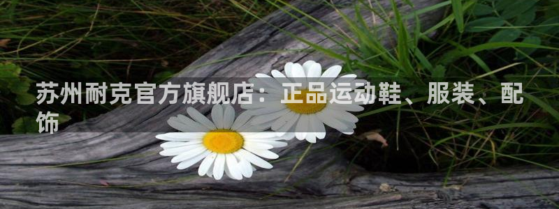 欧陆娱乐挂机项目怎么弄：苏州耐克官方旗舰店：正品运动