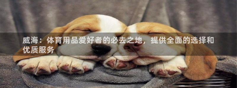 欧陆娱乐官方：威海：体育用品爱好者的必去之地，提供全