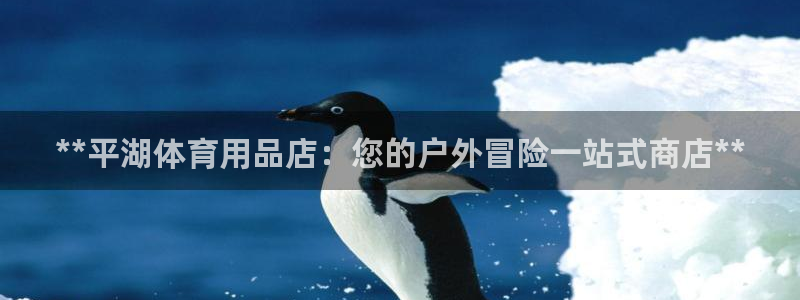 欧陆娱乐app下载安装：**平湖体育用品店：您的户外