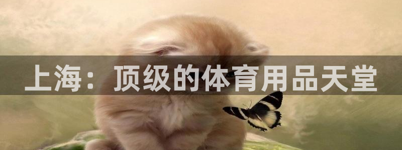 欧陆娱乐怎么注册会员账号啊：上海：顶级的体育用品天堂