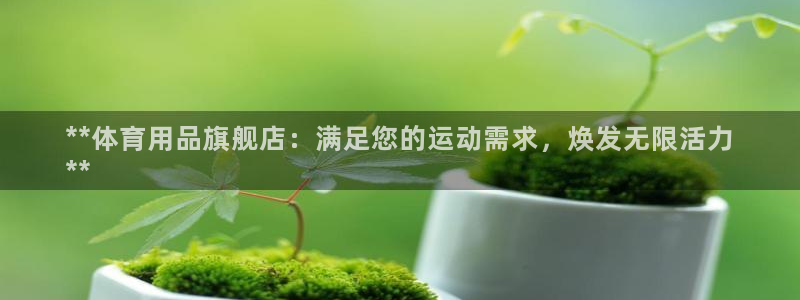 欧陆娱乐测试：**体育用品旗舰店：满足您的运动需求，