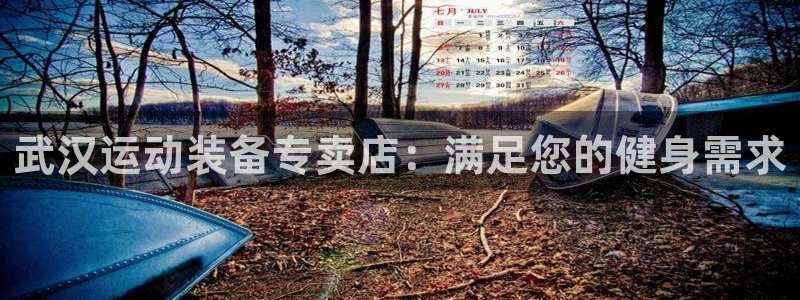 欧陆娱乐平台登录不上去怎么办：武汉运动装备专卖店：满