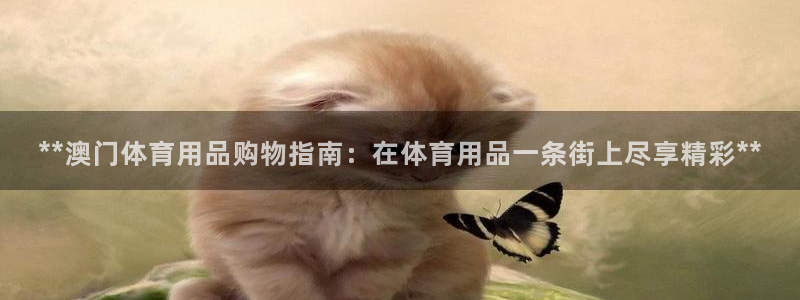 欧陆娱乐登陆官网入口：**澳门体育用品购物指南：在体