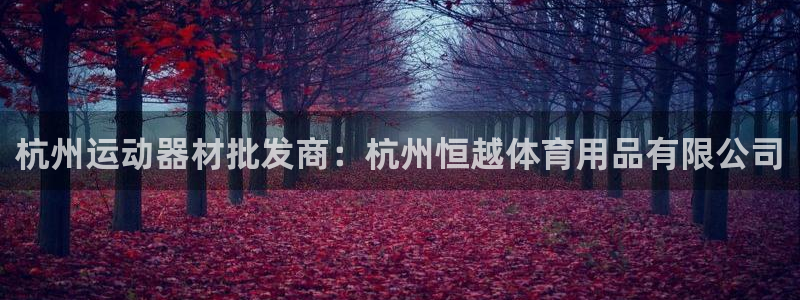 欧陆娱乐天富主管：杭州运动器材批发商：杭州恒越体育用