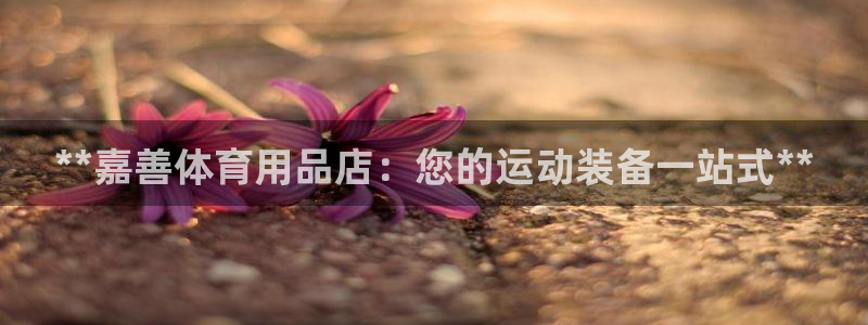 欧陆娱乐的故事有哪些：**嘉善体育用品店：您的运动装