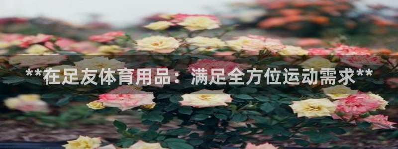 欧陆娱乐平台登录不上怎么办：**在足友体育用品：满足