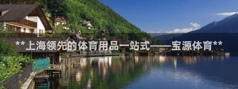 欧陆娱乐官网下载安装最新版：**上海领先的体育用品一