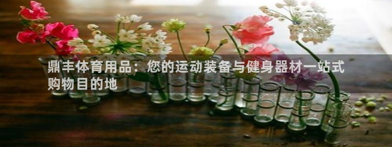 欧陆娱乐可以退钱：鼎丰体育用品：您的运动装备与健身器