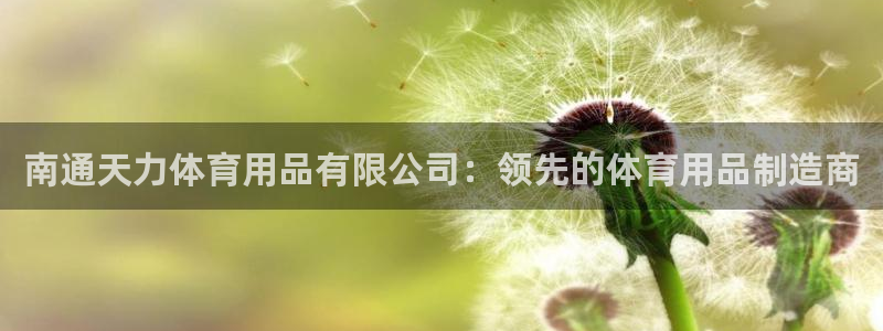 欧陆娱乐挂机项目怎么设置：南通天力体育用品有限公司：