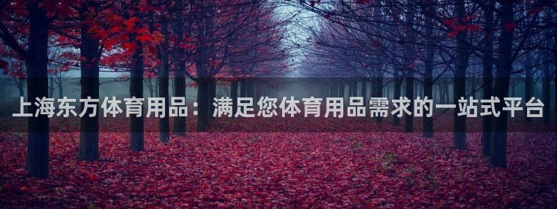 欧陆娱乐平台登陆地址是什么意思：上海东方体育用品：满