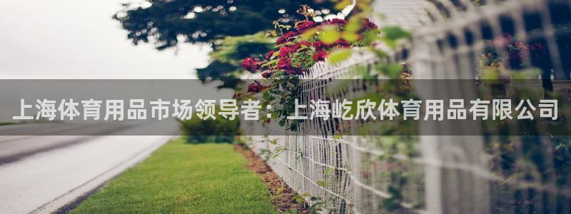 欧陆娱乐微信：上海体育用品市场领导者：上海屹欣体育用