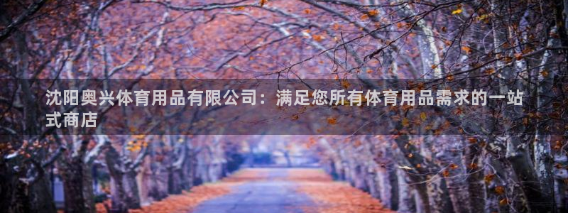 欧陆娱乐app攻略：沈阳奥兴体育用品有限公司：满足您