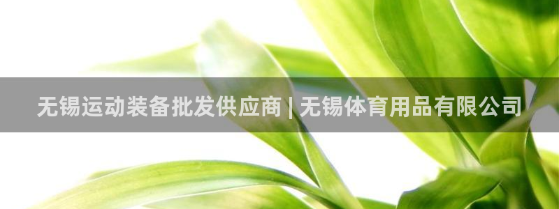 欧陆娱乐登录官网网址：无锡运动装备批发供应商 | 无
