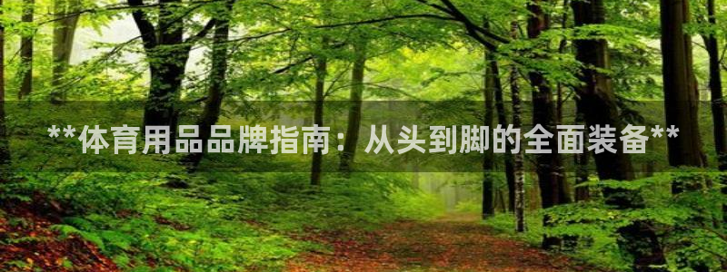 欧陆娱乐百科：**体育用品品牌指南：从头到脚的全面装