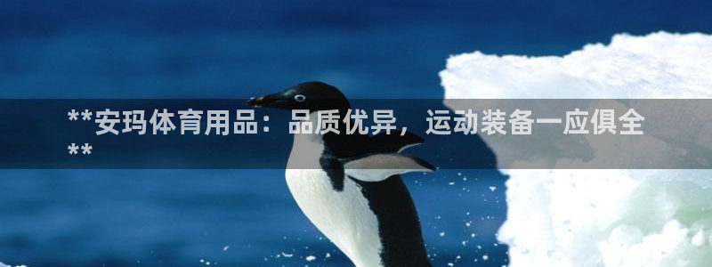 欧陆娱乐注册平台：**安玛体育用品：品质优异，运动装
