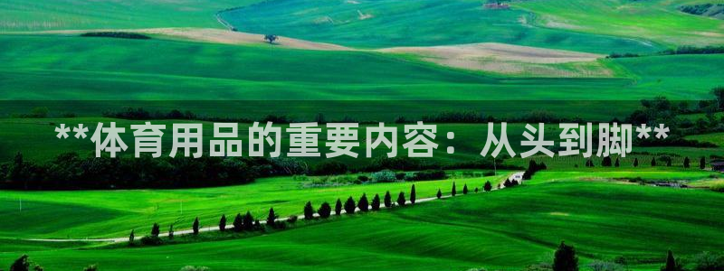 欧陆娱乐登录平台有哪些：**体育用品的重要内容：从头