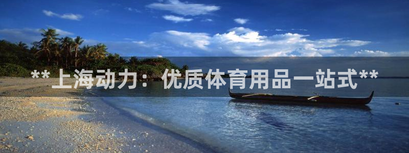 欧陆娱乐登陆平台有哪些：**上海动力：优质体育用品一