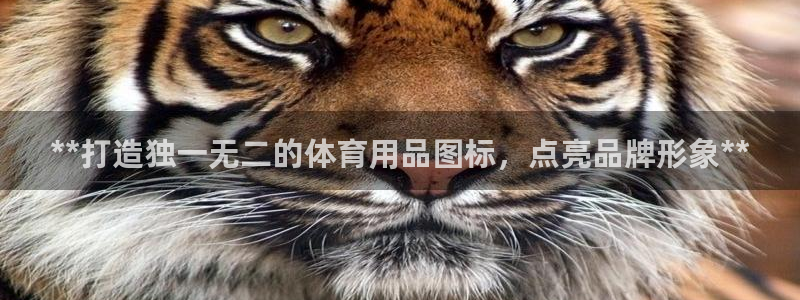 欧陆娱乐有限公司招聘：**打造独一无二的体育用品图标