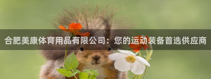 欧陆娱乐平台咋样：合肥美康体育用品有限公司：您的运动