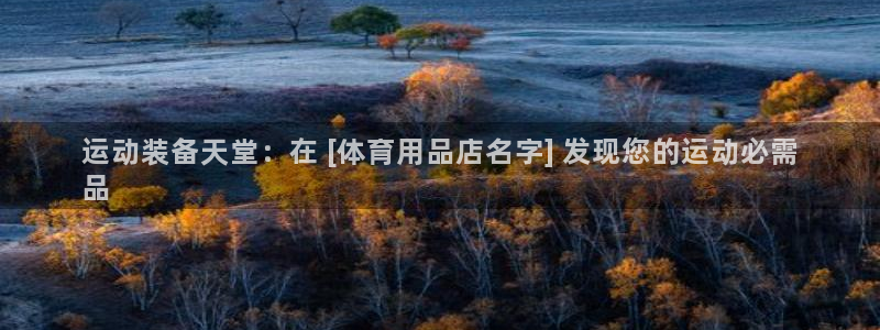 欧陆娱乐客服：运动装备天堂：在 [体育用品店名字] 