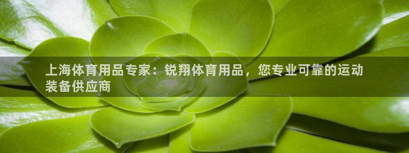 欧陆娱乐app攻略：上海体育用品专家：锐翔体育用品，