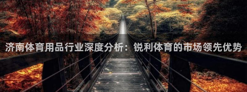 欧陆娱乐登陆官网：济南体育用品行业深度分析：锐利体育