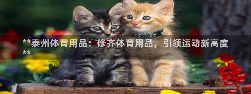 欧陆娱乐打什么方案：**泰州体育用品：修齐体育用品，