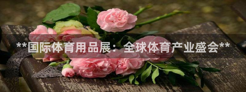 欧陆公司在哪里：**国际体育用品展：全球体育产业盛会