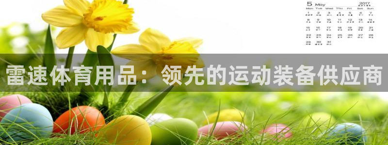 欧陆娱乐安全吗：雷速体育用品：领先的运动装备供应商