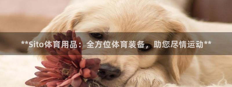 欧陆娱乐官方：**Sito体育用品：全方位体育装备，