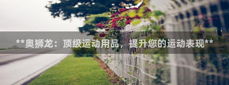 欧陆娱乐app攻略大全：**奥狮龙：顶级运动用品，提