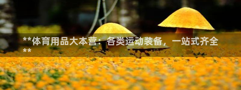 欧陆娱乐平台咋样赚钱：**体育用品大本营：各类运动装