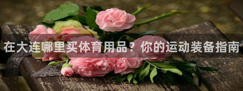 欧陆娱乐客服电话号码：在大连哪里买体育用品？你的运动