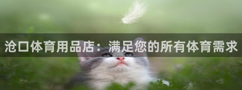 欧陆娱乐平台咋样赚钱快：沧口体育用品店：满足您的所有