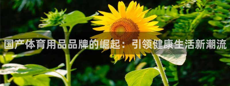 欧陆娱乐是资金盘吗：国产体育用品品牌的崛起：引领健康