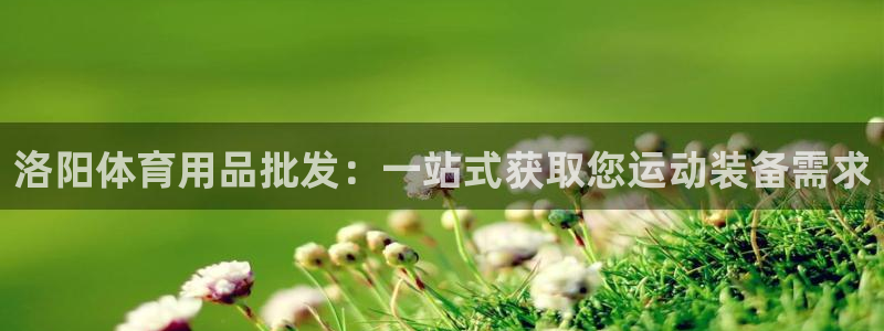 欧陆娱乐怎么注册帐号登录：洛阳体育用品批发：一站式获