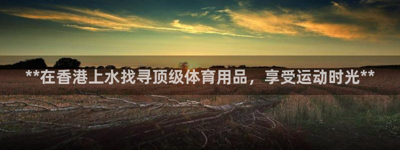 欧陆娱乐测试官网：**在香港上水找寻顶级体育用品，享