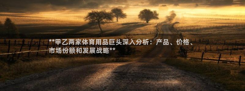 欧陆娱乐计划预测软件有哪些：**甲乙两家体育用品巨头