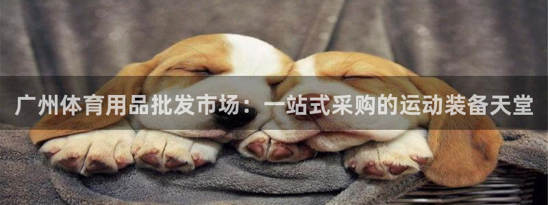 欧陆娱乐怎么注册账号：广州体育用品批发市场：一站式采
