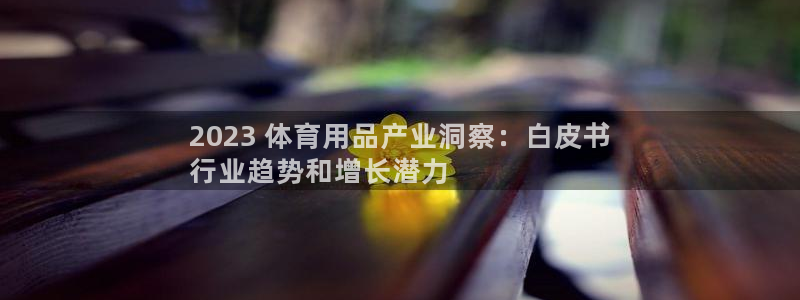 欧陆娱乐登录平台有哪些：2023 体育用品产业洞察：