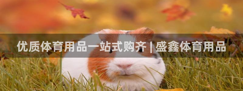 欧陆娱乐登录平台有哪些：优质体育用品一站式购齐 | 
