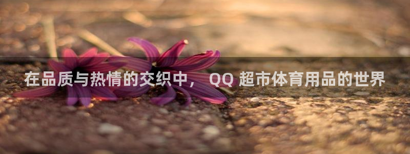 欧陆娱乐官网网址大全：在品质与热情的交织中， QQ 