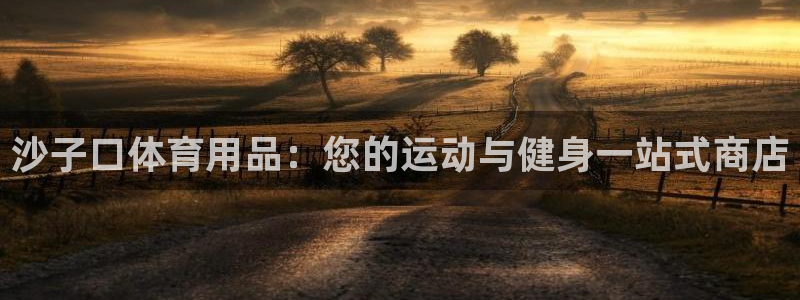 欧陆娱乐会员有什么用：沙子口体育用品：您的运动与健身