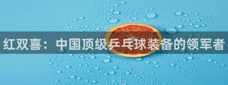 欧陆娱乐平台登陆地址是什么样的：红双喜：中国顶级乒乓