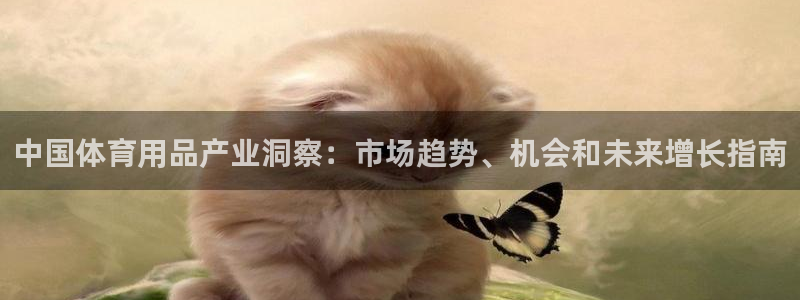 欧陆娱乐登陆平台下载：中国体育用品产业洞察：市场趋势