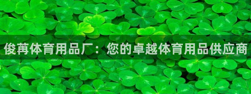 欧陆娱乐平台优势：俊苒体育用品厂：您的卓越体育用品供