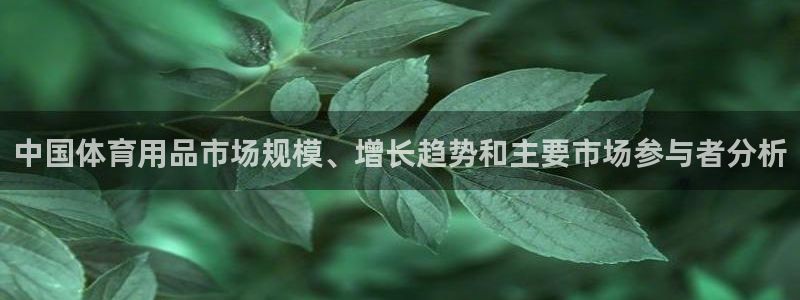 欧陆娱乐能赚钱吗：中国体育用品市场规模、增长趋势和主